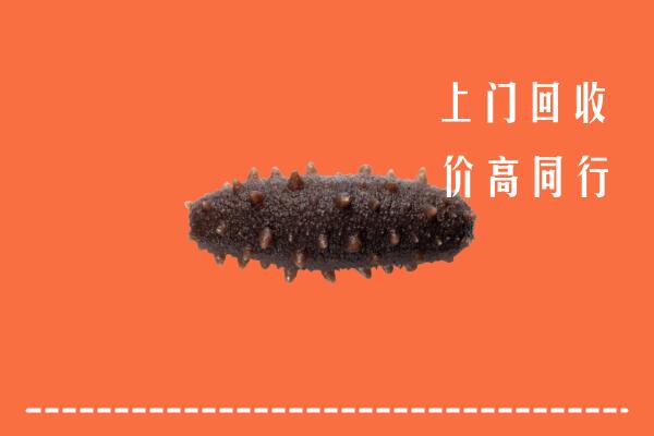 附近收购：东宁市回收海参