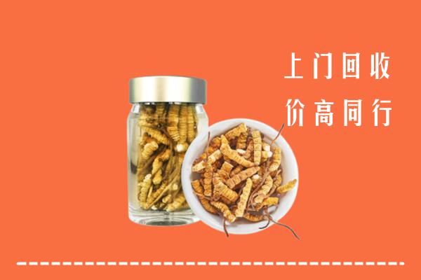 东宁市回收冬虫夏草
